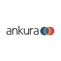 Logo Ankura Consulting